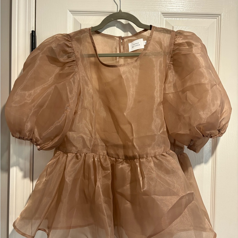 Elegant Sheer Brown Blouse